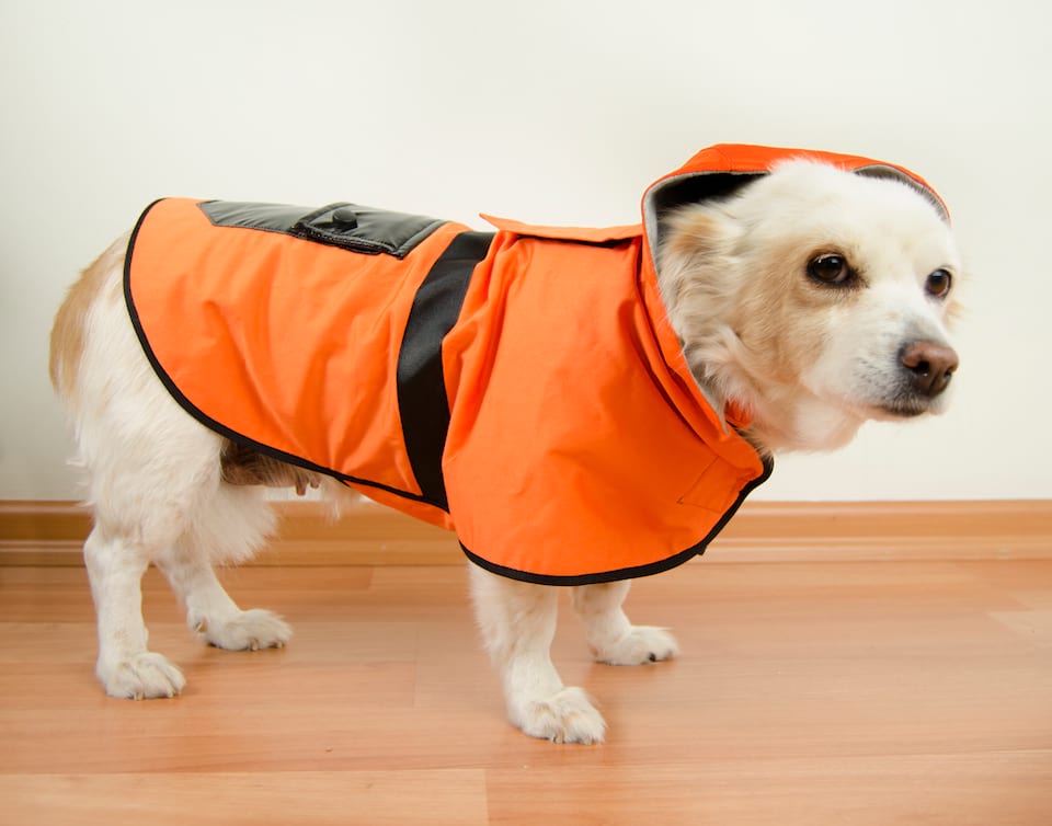 Aquatolia Honden Kleding, Aquatolia hond regenjas - Oranje